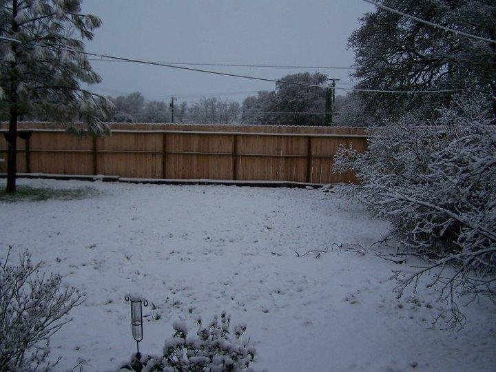 Edwin Benner's album, January 1, 2011