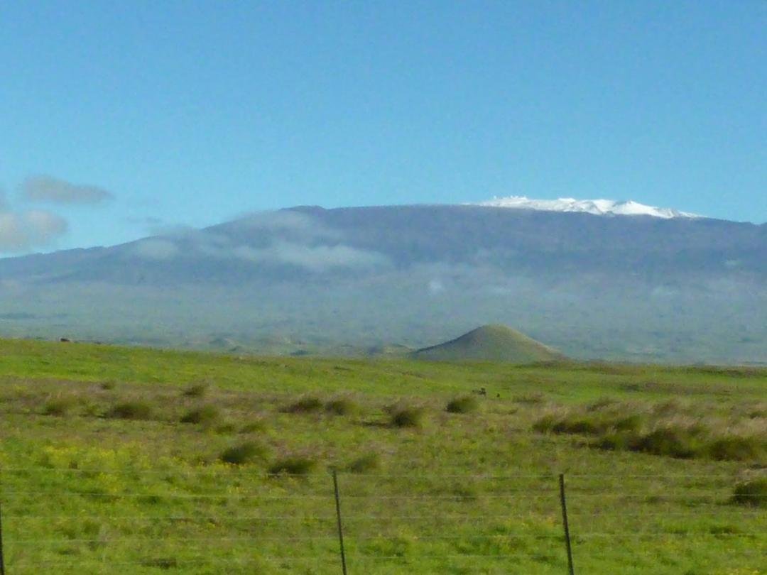 White Christmas in Hawaii
