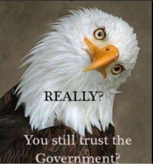 Toni Freeman's album, Timeline Photos