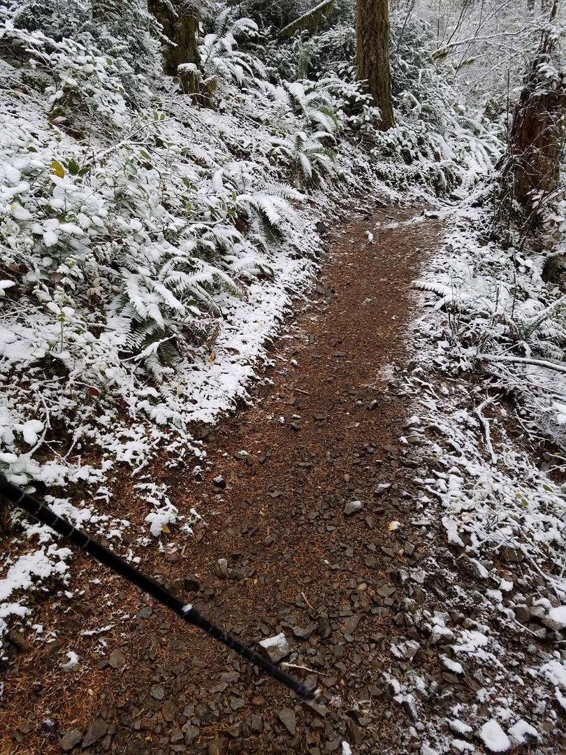 A snowy trail in Washington