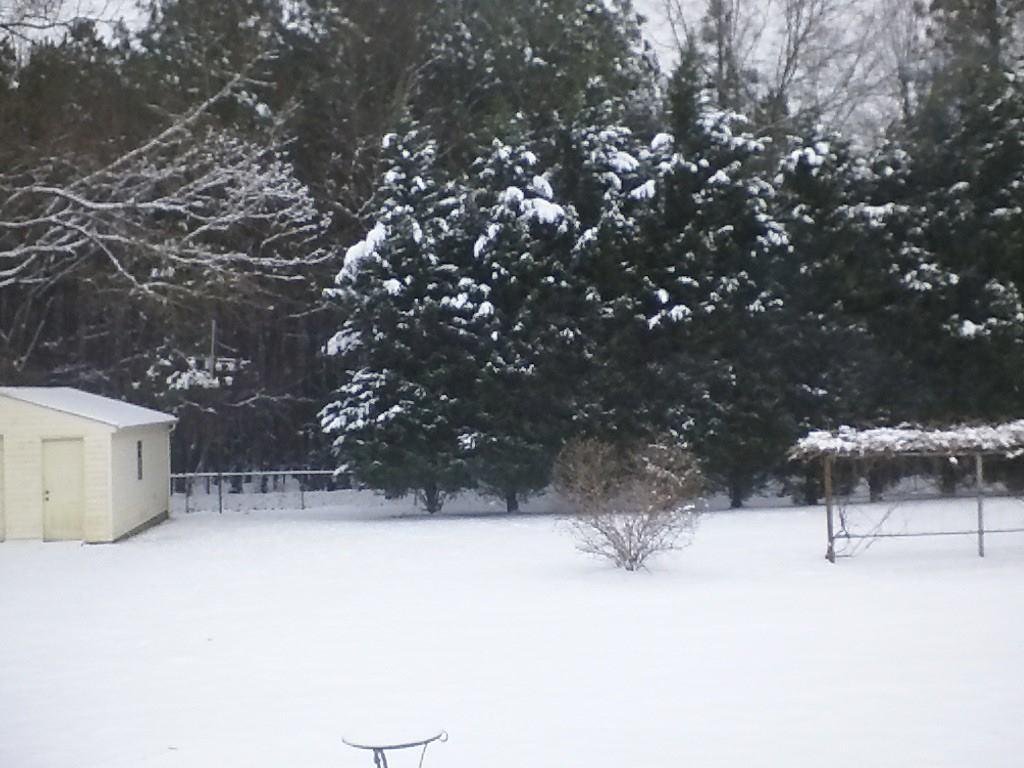 More snow