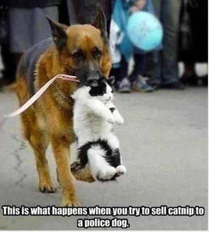 Beware