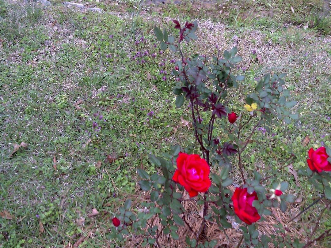 Peter Schwab's album, Timeline Photos