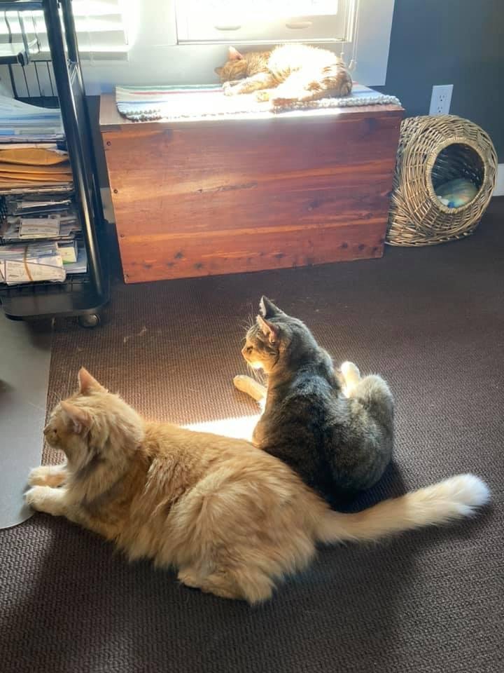 The fight for the sunny spots