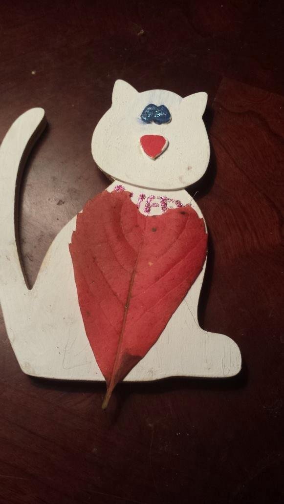 My honey found a heart shaped leaving gave it to me, how sweet it is.i love her