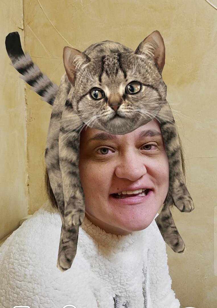 Heather Anstey loves those cats