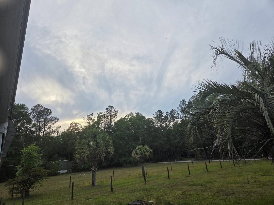 Partial view from my front yard.