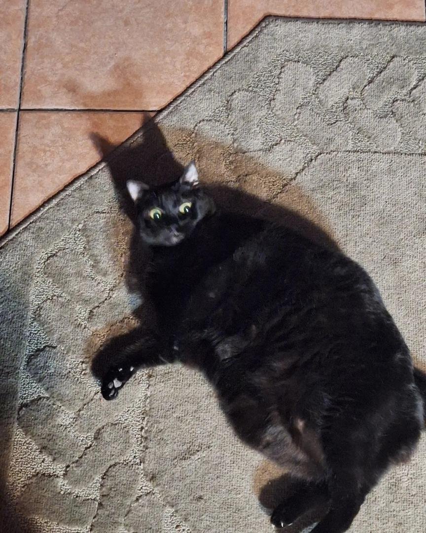 When you're full from dinner, but then someone says, "Who wants dessert?"