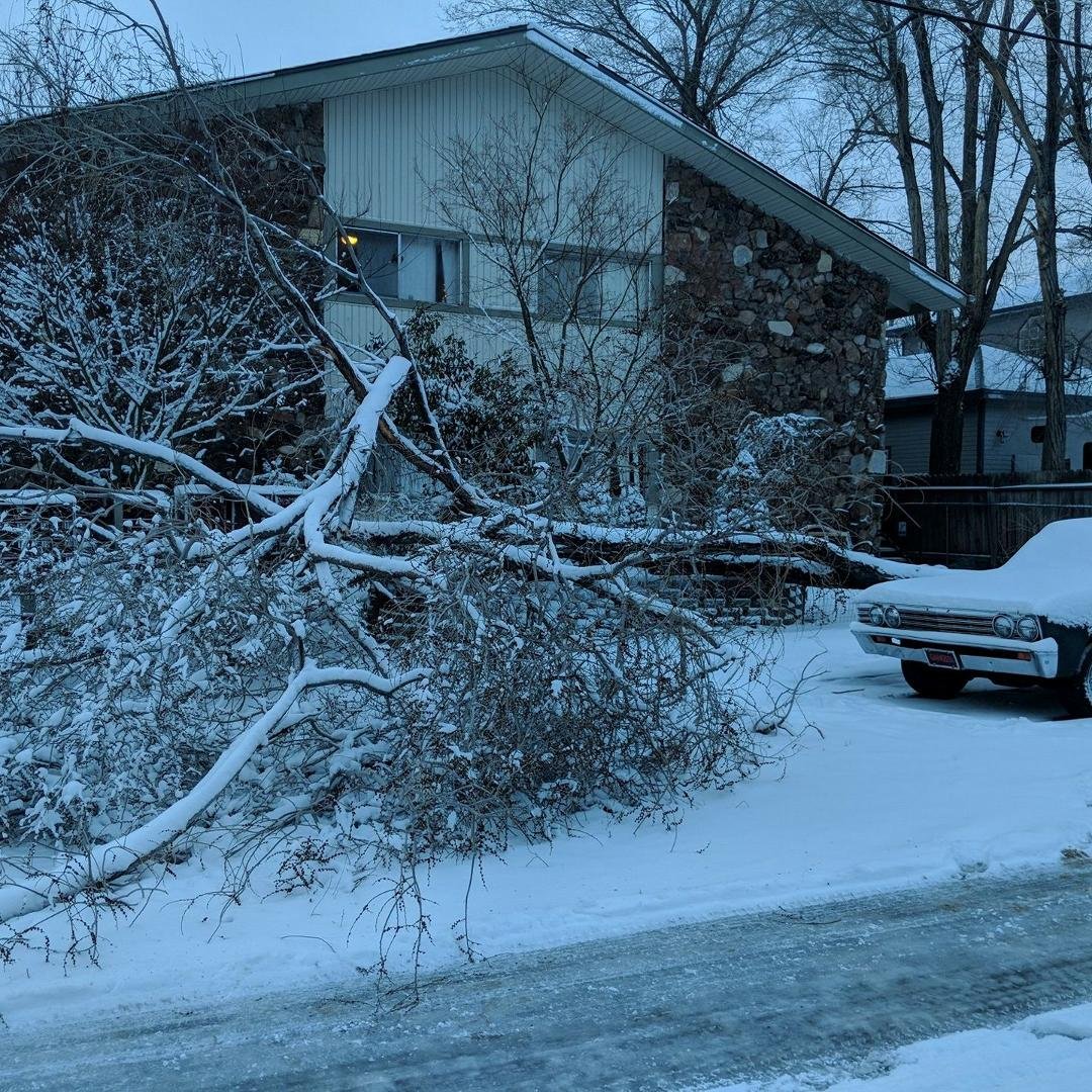 Trees down all over Carson west side.