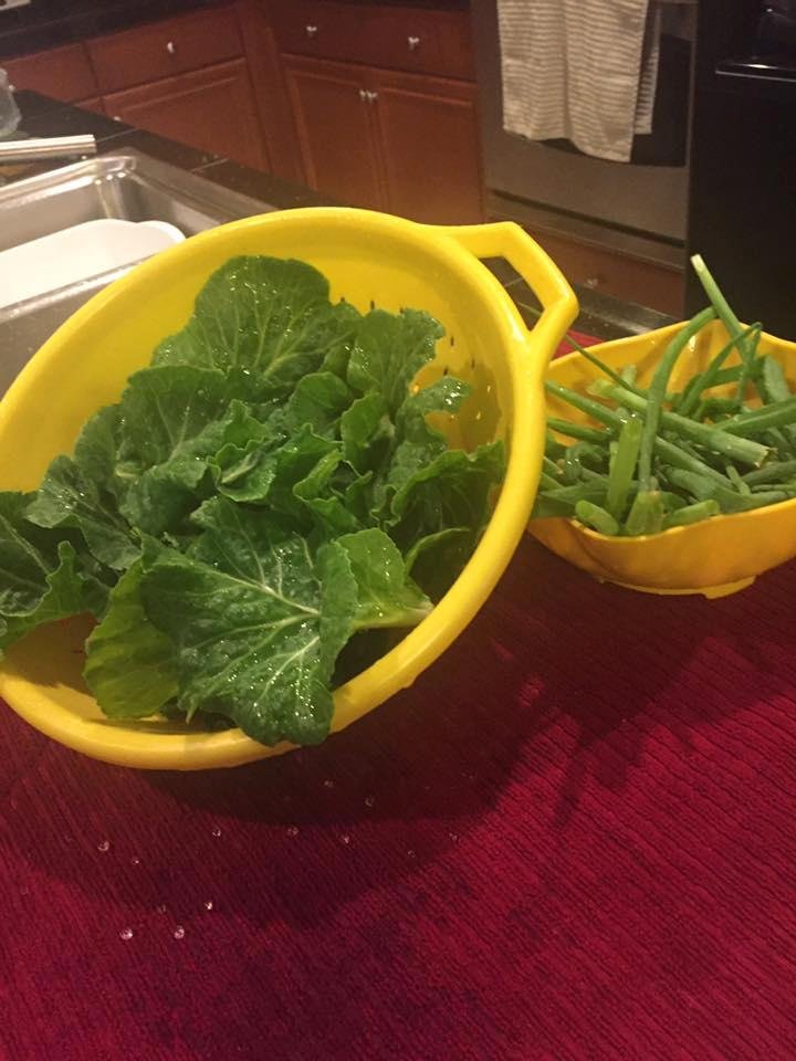 How does your garden grow? My first pick. 🥗