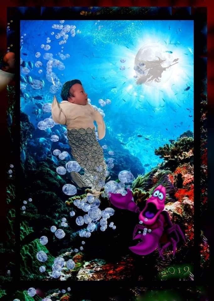 Suzanne Frederick's album, Mobile Uploads