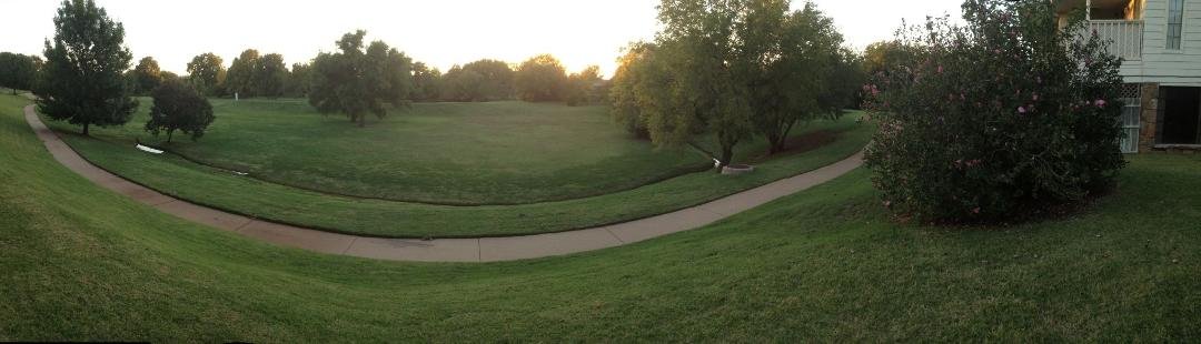 My backyard does that look like a panorama?