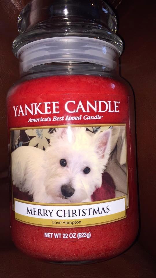 Christmas gift from my grand-dog!