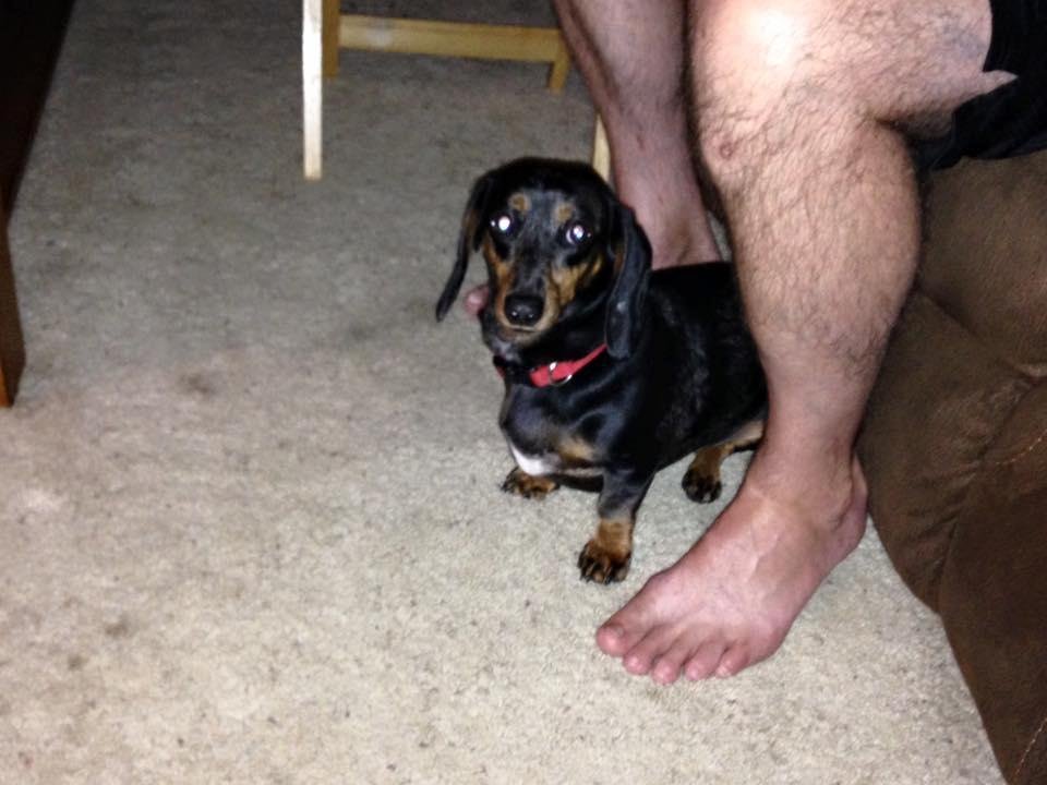 Need some prayers for Fritz. Trying some new meds.
