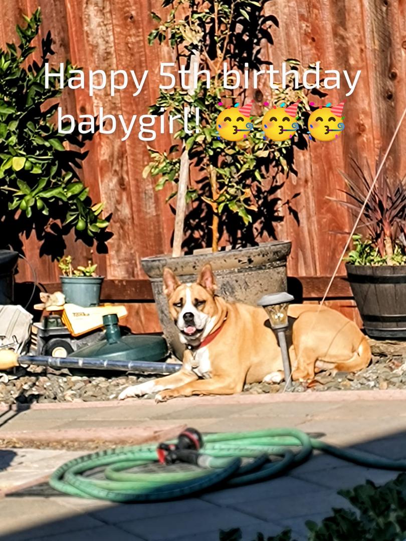 That's our babygirl, she fills our lives and hearts with so much love. 🥰