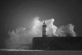 8 days, B&W photos of your life, no people, no explanation. Day 7. I nominate
Patrice Martin McDonald