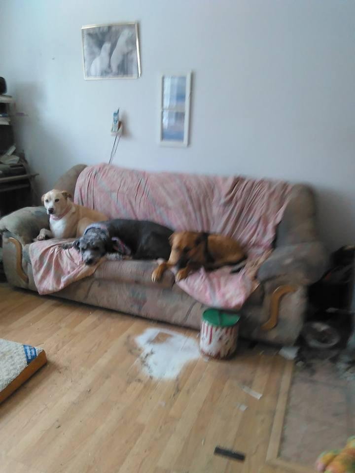 Dan Krueger's album, Mobile Uploads