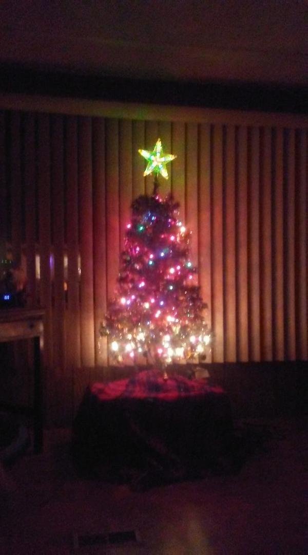Keifer Jr and Kadence did a great job with the tree,thank you both very much