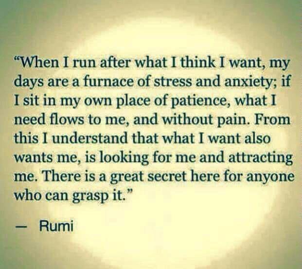 WOW! Talk about a quote that literally speaks (Words Of Wisdom)! 🦉