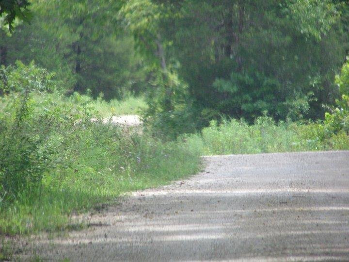 Pamela Rhoden's album, August 15, 2011