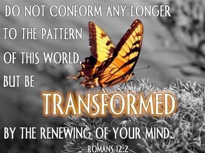 My Share for the Day....Many Blessings, Shirley!!!!!