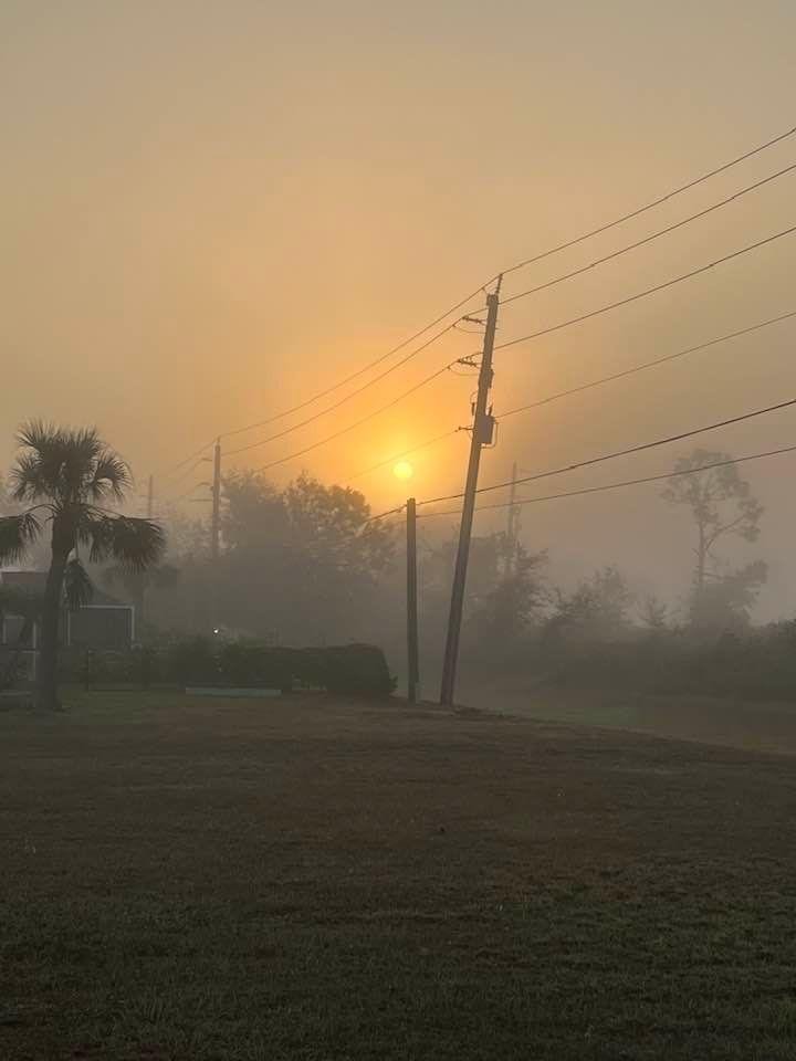 Foggy Weather For Our Flight