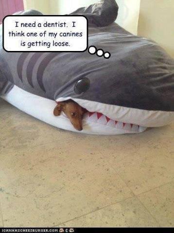 Steve Armstrong's album, Timeline Photos