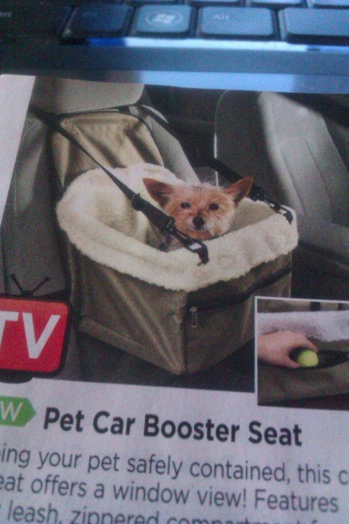 Hey Betty when i had gadget he had a carseat sorta like this one...Isnt it cute for the small dogs...Gadget use to like to look out the windows....