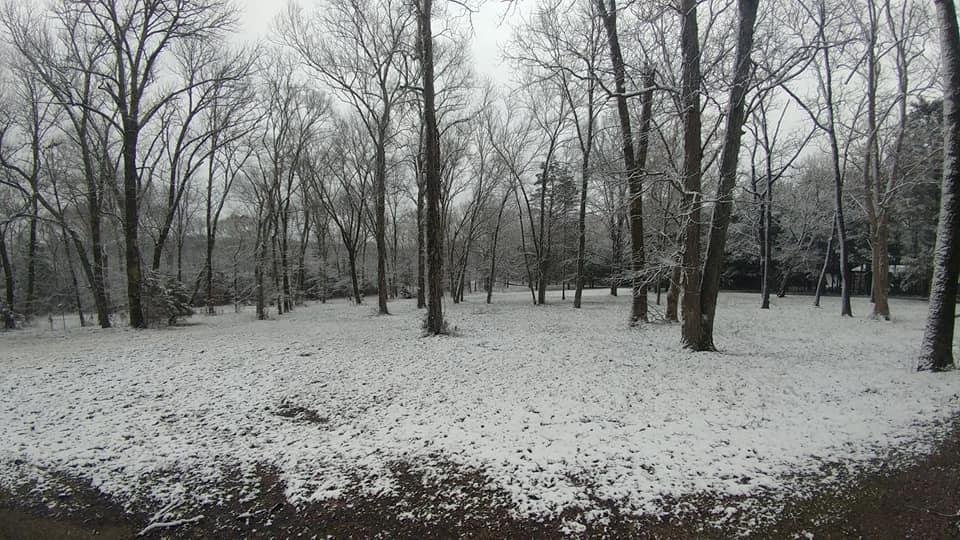 David Huff's album, Timeline Photos