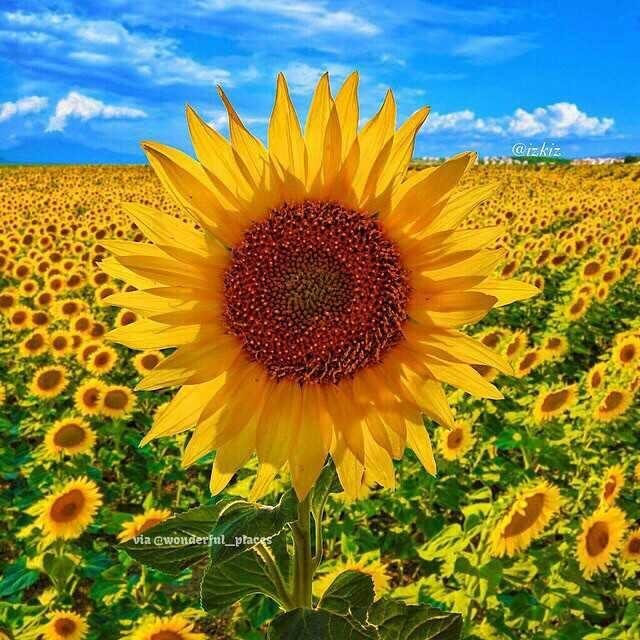 Good morning everyone, I hope you have a great weekend.