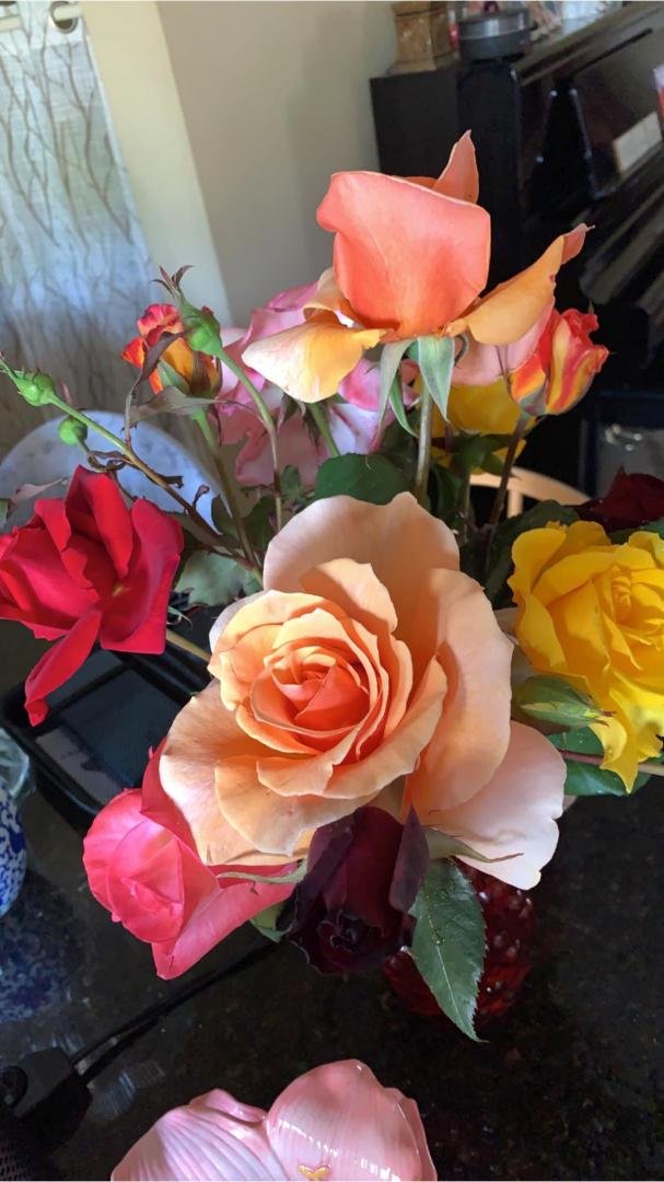 First cutting of the season from my garden