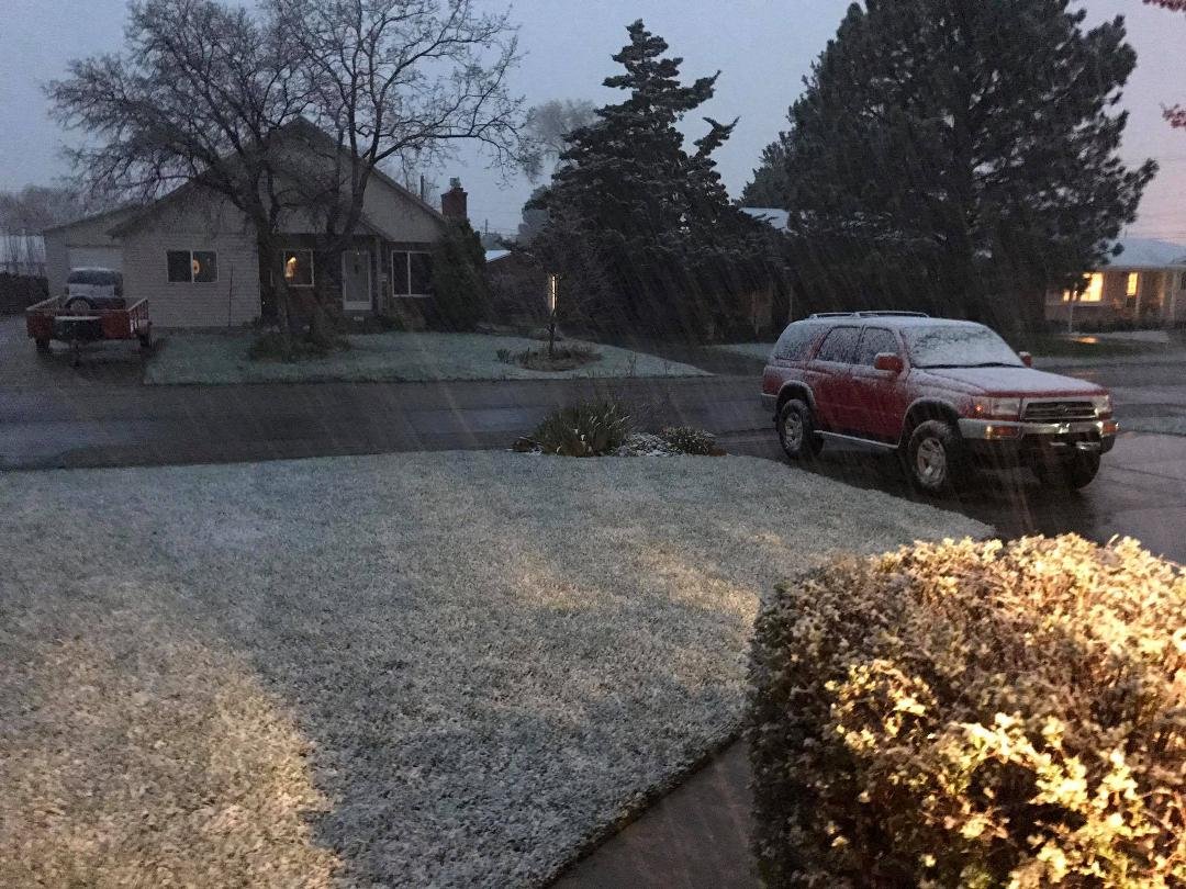 If April showers bring May flowers, the what does April snow bring?