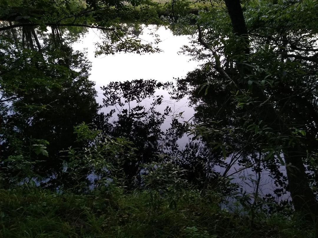 All's calm on Shepard's pond.