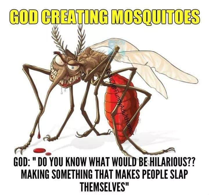 Joseph Adolf's album, Timeline Photos