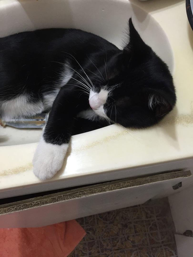 Tux
