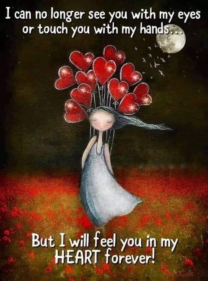 Happy Valentines Day in Heaven my love, my sweetums! ❤️❤️❤️❤️❤️