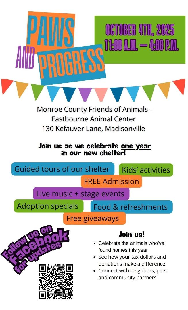 Fun, food, music and cats and dogs...
