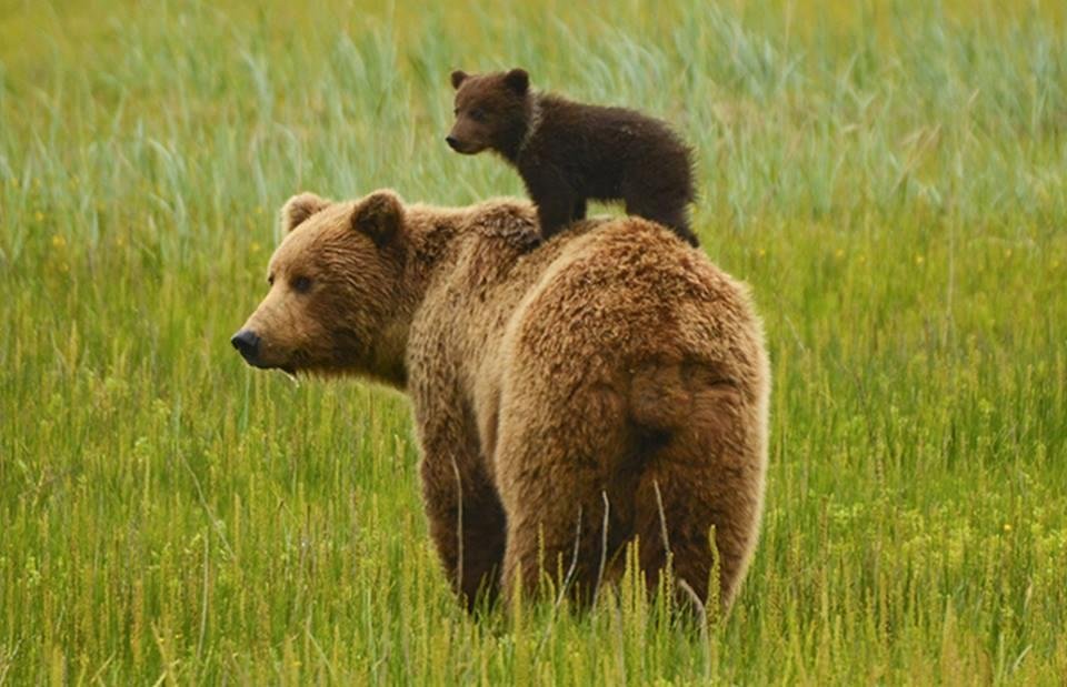 Happy Father's Day!