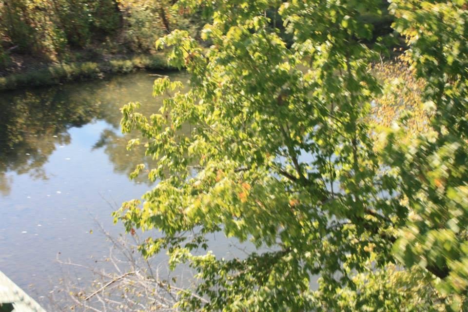 Richard E Bratton's album, Untitled Album