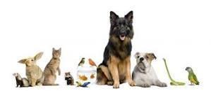 FOR IMMEDIATE RELEASE
There will be a Blessing of the pets, this Sunday, September 25 at 5:00 PM at the
VFW Post 5118 Easton. 355 Glebe Rd. Easton MD in the parking lot. Public is invited