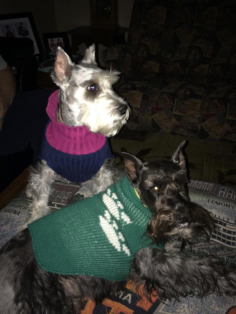 Keeping warm with my people!