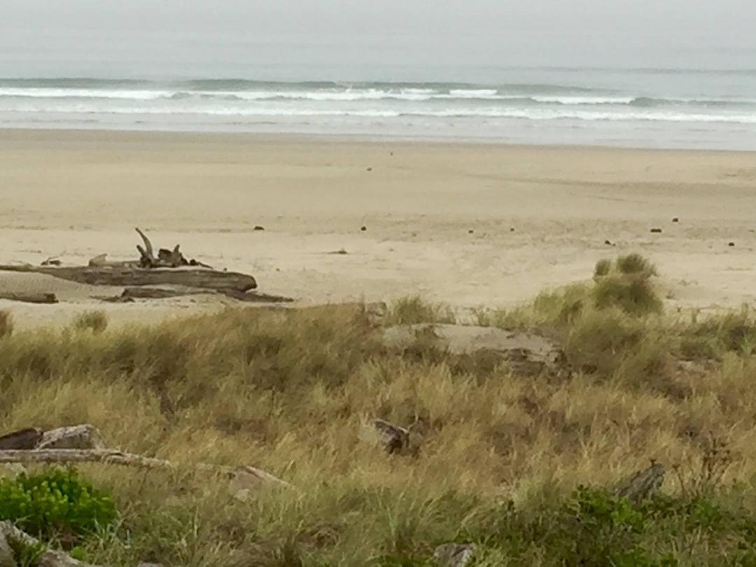 Fun day at the beach.  Mushroom festival starts tonight.  Good day, but I wish it was not so cloudy.