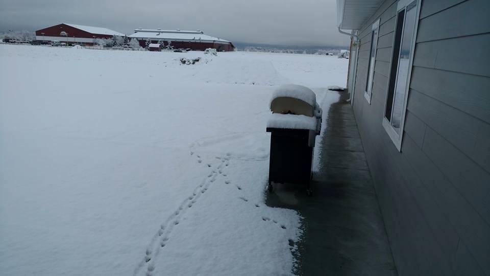 Walter Robison's album, Timeline Photos