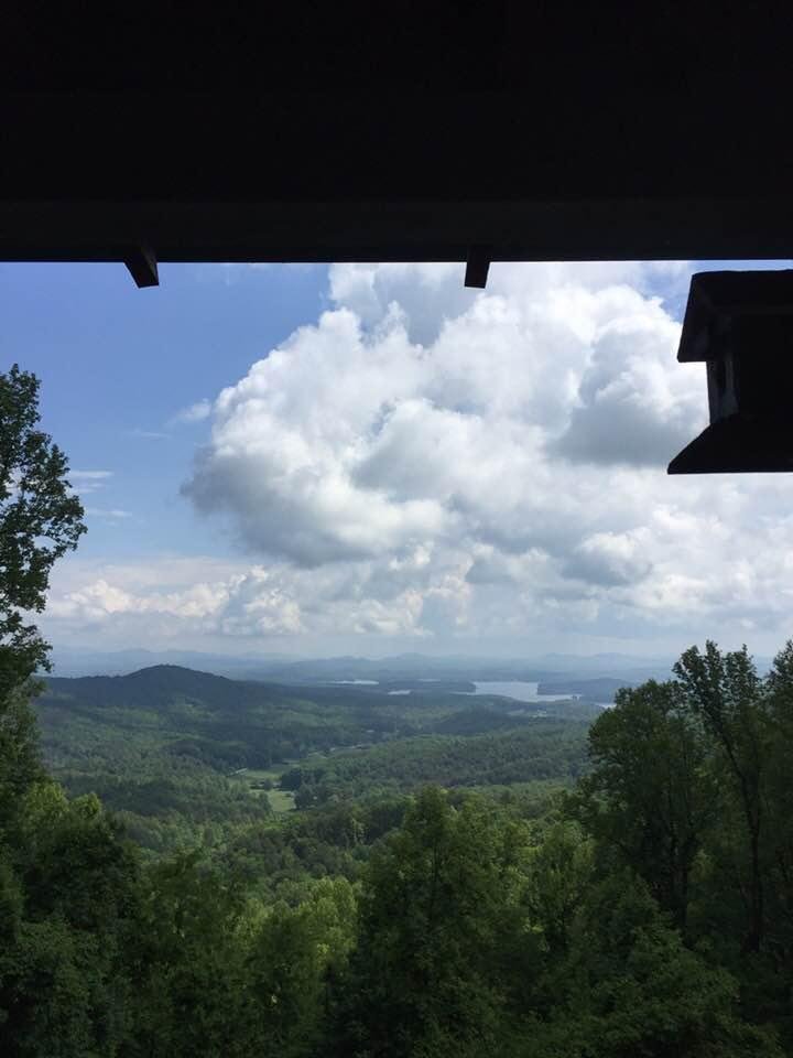 My view today while pet sitting.