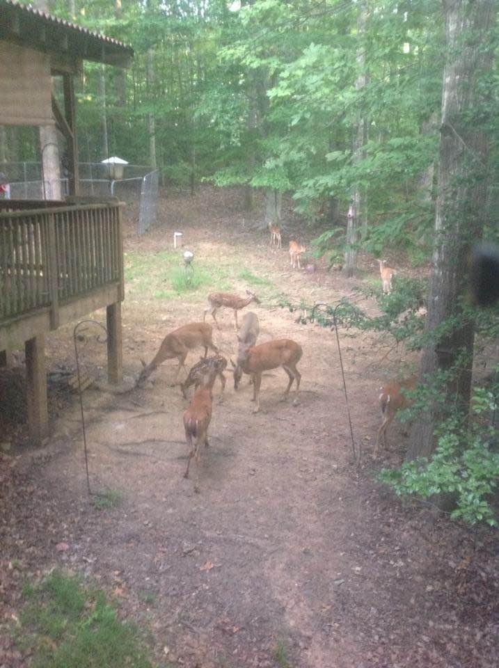The gang's all here 💕😊