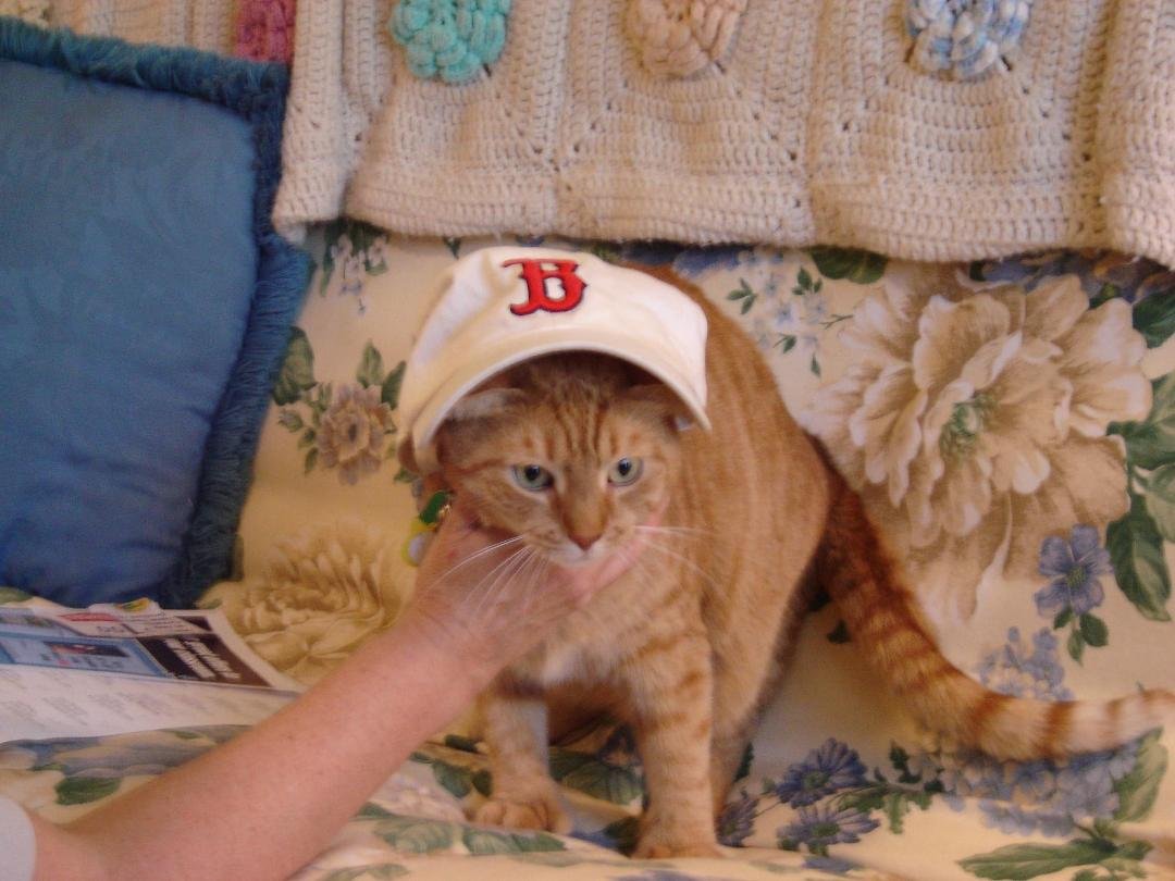 Nomar sez...no beer...no chicken...or no pennant!