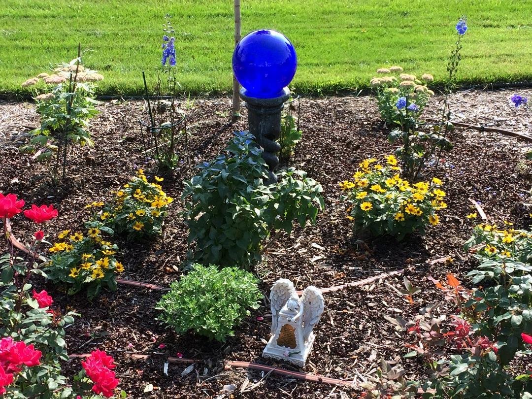 Sam Garden