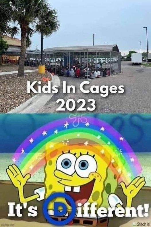 kids in cages ... this is NOT a 'political Party' issue ... there is something fundamentally WRONG with a SOCIETY that allows this to happen ... - JN