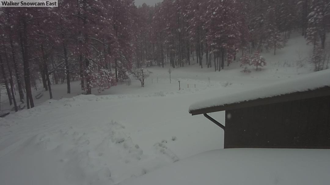 More snow. in Walker today.