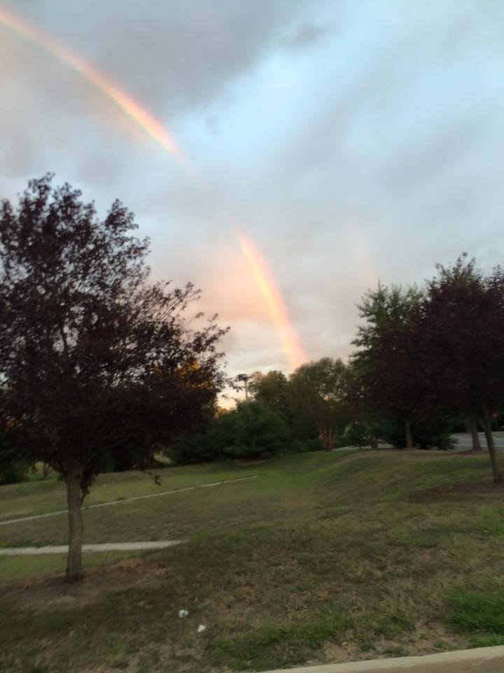 Mark Brewer's album, Mobile Uploads
